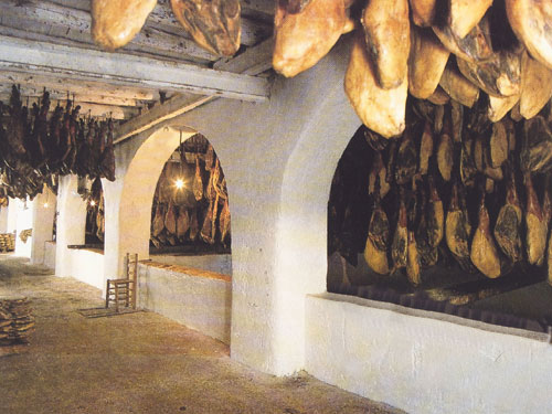 bodega de jamones jamones maximiliano jabugo